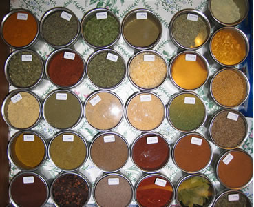 Insetti Derrate Spices